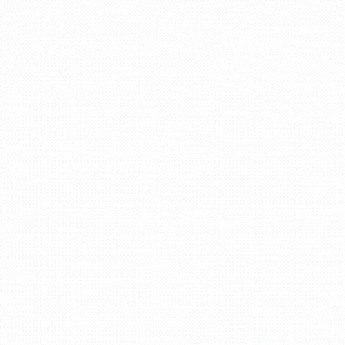 Twiniversity giphyupload twins twin twin mom GIF