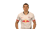 Red Bulls Yes Sticker by Bundesliga