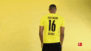 Happy Borussia Dortmund GIF by Bundesliga