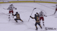 Celebrate Ice Hockey GIF by NHL