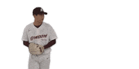 Throw Sticker by Kiwoom Heroes Baseball Club
