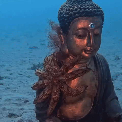Submerged Buddha Is Embraced by Aquatic Species