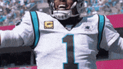 Nfl GIF by Carolina Panthers