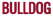 Uga Engineer Sticker by UGA College of Engineering