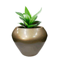 FiberPotxMacetas maceta dissa fiberpotx fibradevidrio Sticker