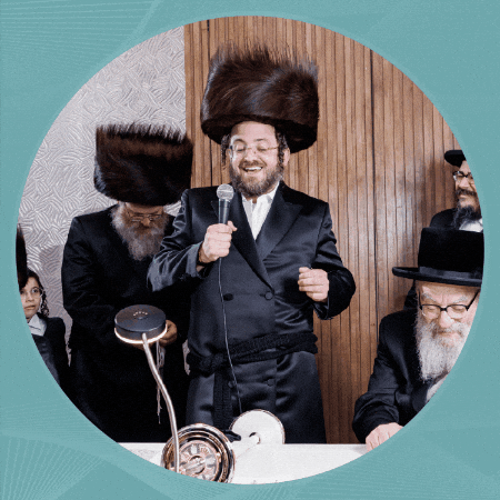 luzyostreicher giphygifmaker giphyattribution luzy ostreicher GIF