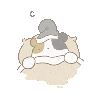 Night Sleep Sticker