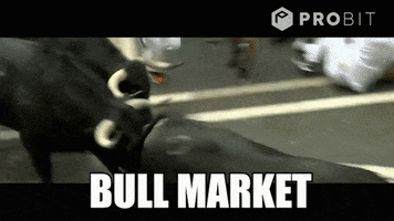 Invest All Time High GIF by ProBit Global