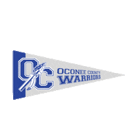Georgia Public Broadcasting Championships Sticker by GPB Sports