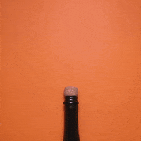 2016 GIF by cintascotch