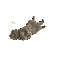 Happy Sunday Day Sticker