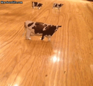 abduction GIF