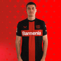 Bayer 04 Win GIF by Bayer 04 Leverkusen