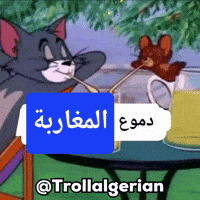 Algeria Caf GIF