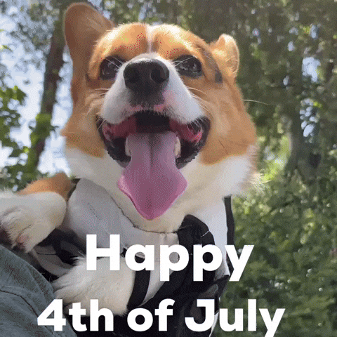 Happy 4Th Of July GIF