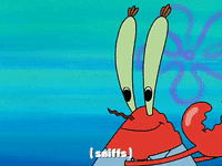 season 3 episode 6 GIF by SpongeBob SquarePants