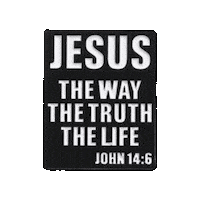 pinnedpins life jesus truth christian Sticker