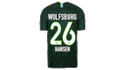 football soccer Sticker by VfL Wolfsburg