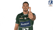 Handball-Bundesliga Sport GIF by LIQUI MOLY HBL