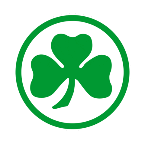 germany football Sticker by Bundesliga