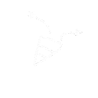 꼬꼬런 Sticker