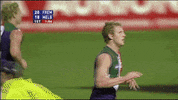 freodockers fremantle dockers fremantle dockers freo GIF