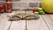 Crab Cooking GIF by UnusualCooking