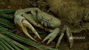 Landscape Discover GIF by PONANT
