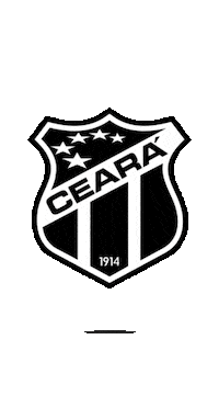 Copa Do Nordeste Futebol Sticker by TV Jornal Interior