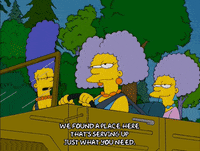 Driving Season 17 GIF by The Simpsons