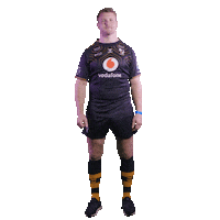 Celebration Wasps Sticker by PremRugby