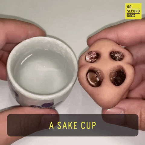 Cup Sake GIF by 60 Second Docs