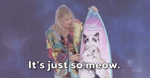 Taylor Swift Its Just So Meow GIF by FOX Teen Choice