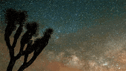 huffington post space GIF by HuffPost