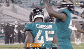 Jacksonville Jaguars Football GIF by NFL