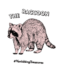 Raccoon Earth Day Sticker by Doubleday Books