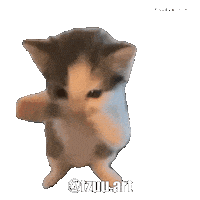 Artist Dance Cat Sticker