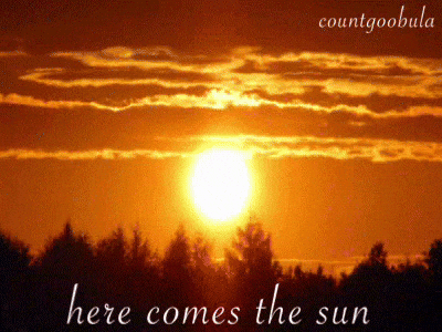 Here Comes The Sun Cat GIF