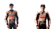 High Five Marc Marquez Sticker by MotoGP