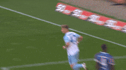 Football Soccer GIF by FC Schalke 04