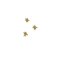 Stars Sparkling Sticker