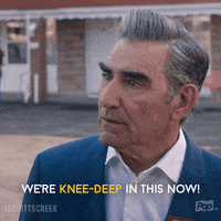 GIF by Schitt's Creek