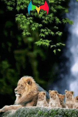 Gracias Por Hacer GIF by Murcianys LLC