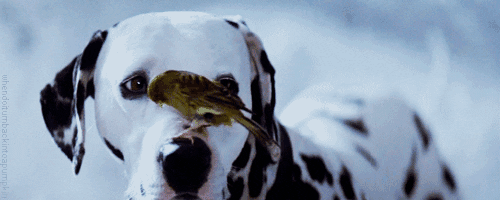 friend GIF