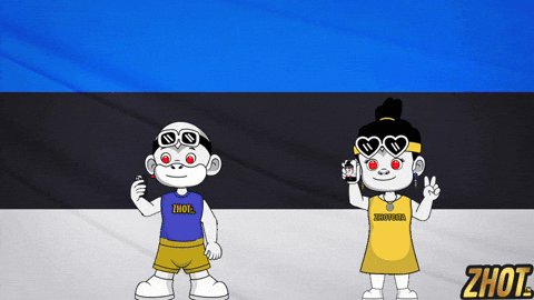 Northern Europe Estonia GIF by Zhotcita