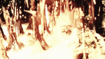 epitaphrecords music retro music video vintage GIF