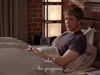 season 6 netflix GIF by Gilmore Girls 