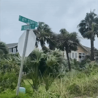 Strong Winds on St George Island as Tropical Storm Fred Moves Inland