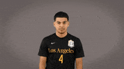 Mens Soccer GIF by Cal State LA Golden Eagles