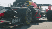 redbullracing car racing race 2019 GIF